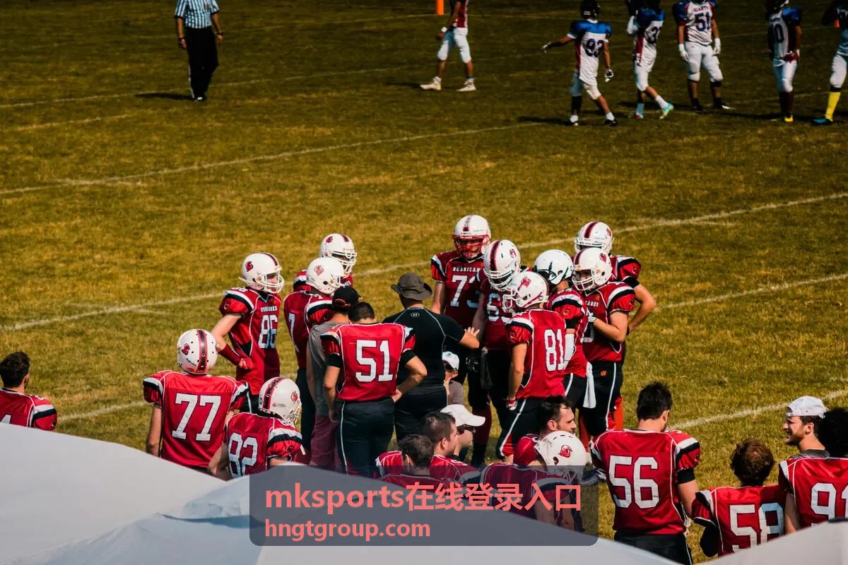 mksports在线登录入口首屏背景画面