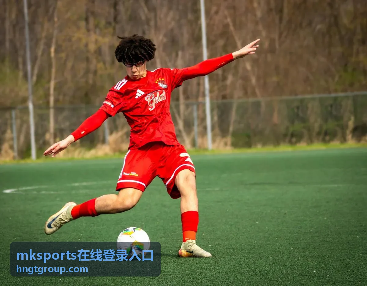 mksports在线登录入口移动端画面
