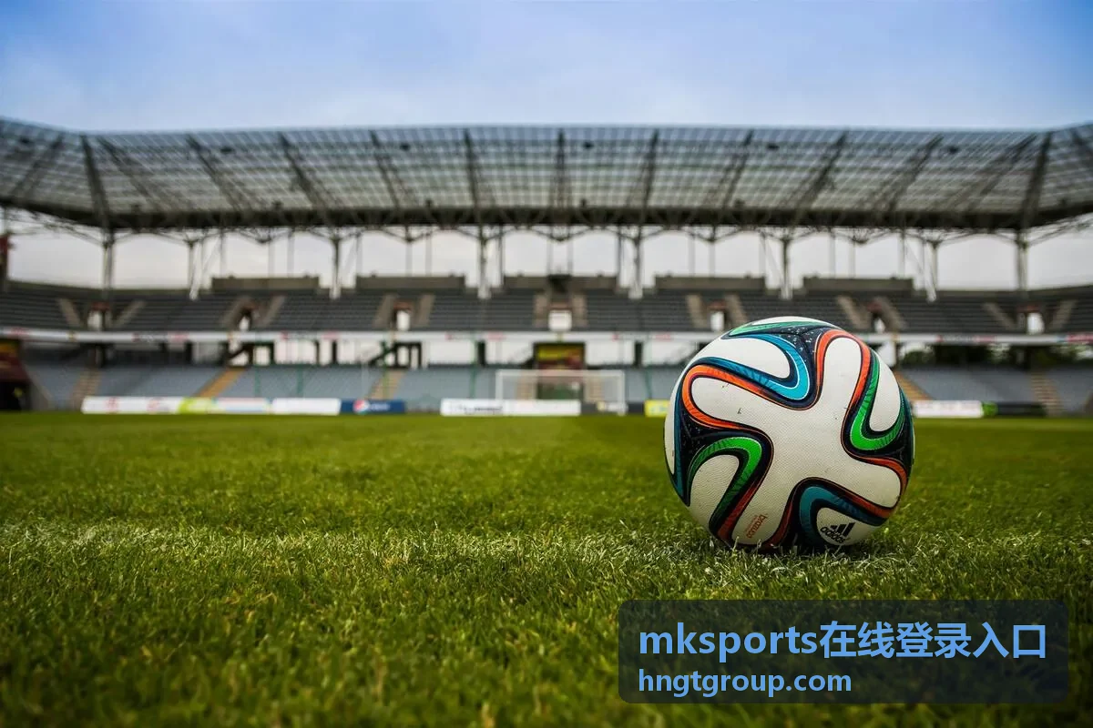 mksports在线登录入口账号验证说明